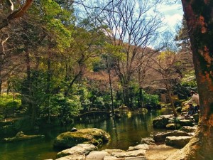 ぎふ